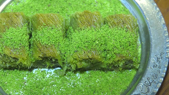 Meşhur 'Gaziantep Baklavaları'