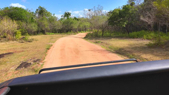 Sri Lanka Safari Turu