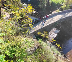 Şehrin merkezinde yemyeşil bir alan: 'King's Park' 