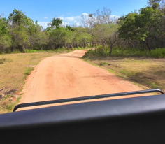 Sri Lanka Safari Turu
