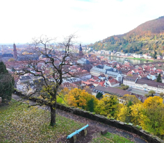 ALMANYA - Heidelberg-Wiesbaden