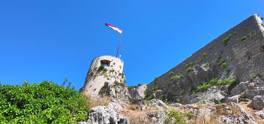 Çok Gezenti