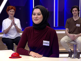 Duvarları kaplayıp süslemek için kullanılan levha
