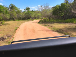 Sri Lanka Safari Turu