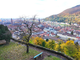 ALMANYA - Heidelberg-Wiesbaden