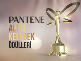 Pantene Altın Kelebek Ödülleri "En Çok İzlenen Klipler"