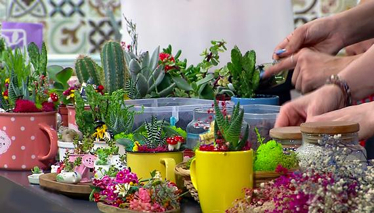 Ezgi Sertel'le Kadınlar Bilir Minyatür Bahçe Yapımı