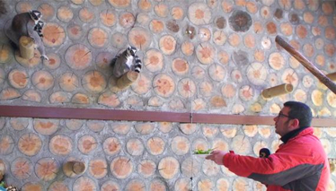 Ormanya'da ellerimizle Lemur besledik