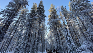FİNLANDİYA - Lapland Foto Galeri