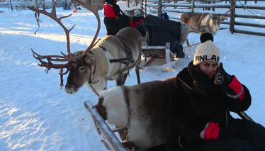 FİNLANDİYA - Lapland