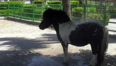 Rehber Durağımız Tarsus Doğa Parkı