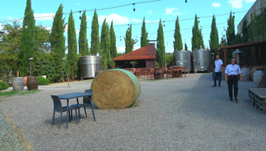 Çok Gezenti  Şarap İmalathanesi 'Agricola Poggio ai Laghi'