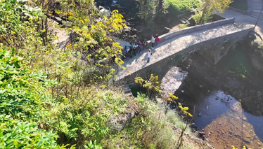 Çok Gezenti  Şehrin merkezinde yemyeşil bir alan: 'King's Park' 