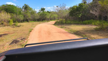 Çok Gezenti Sri Lanka Safari Turu