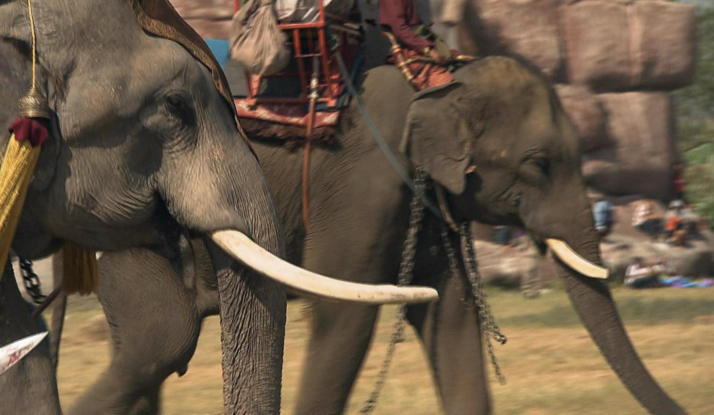  FARKLI VE HEYECANLI 19. BÖLÜM FOTO GALERİ 