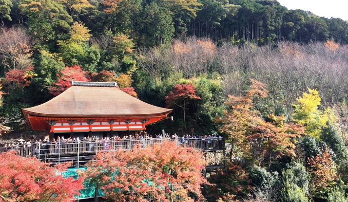 JAPONYA - Kyoto Foto Galeri