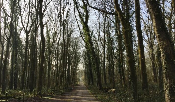 BİRLEŞİK KRALLIK - Galler Foto Galeri