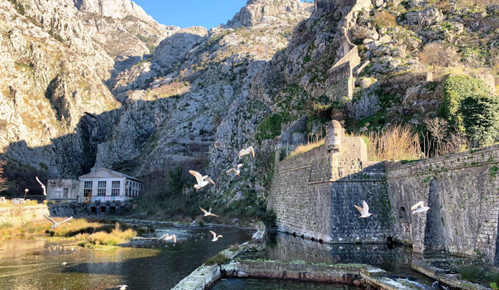 KARADAĞ - Kotor Foto Galeri