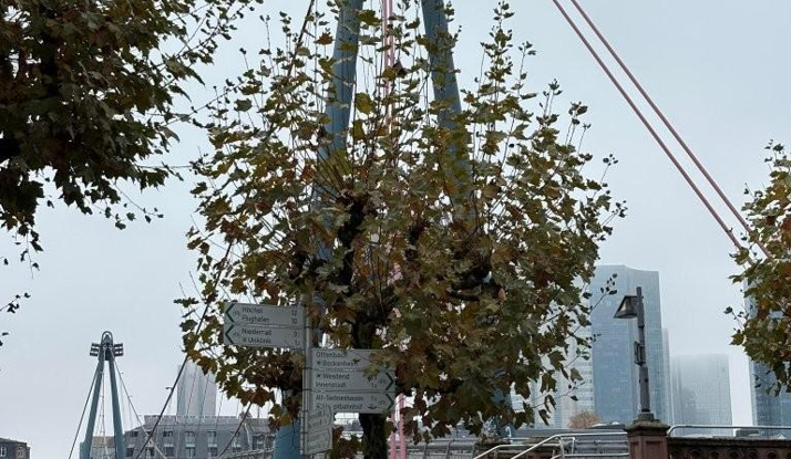 ALMANYA - Frankfurt Foto Galeri