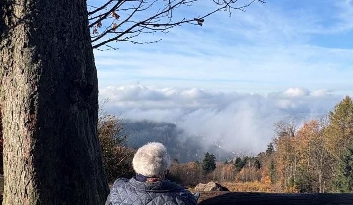 ALMANYA - Heidelberg-Wiesbaden Foto Galeri