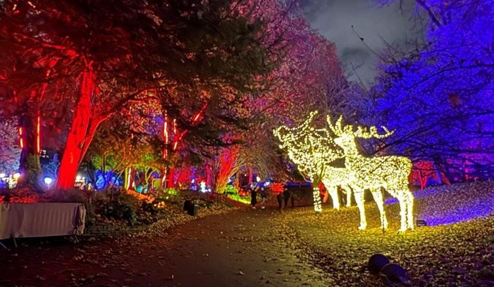 İNGİLTERE - Londra'da Yılbaşı 2026 Foto Galeri