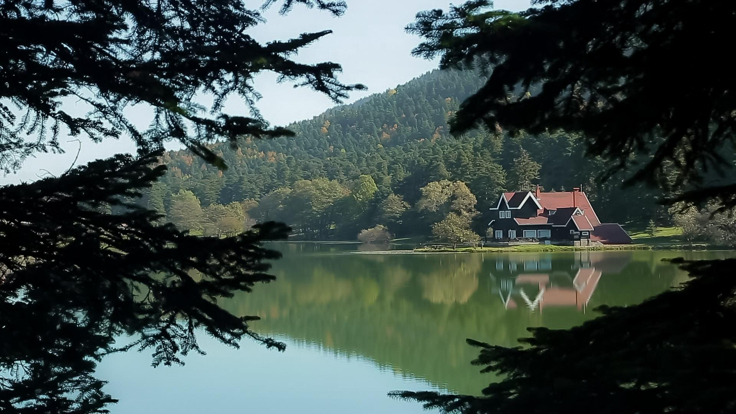 Rehber 294. Bölüm | BOLU-DÜZCE