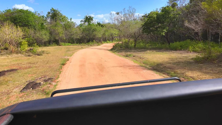 Sri Lanka Safari Turu
