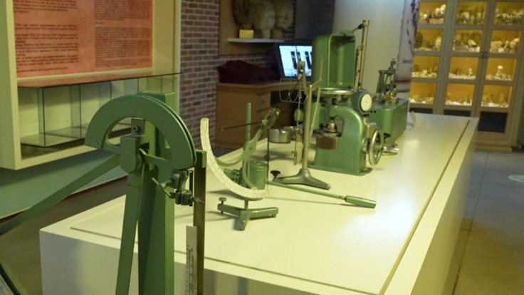 Yalova Kağıt Müzesi: Endüstri Mirasından Kültüre Açılan Bir Yolculuk